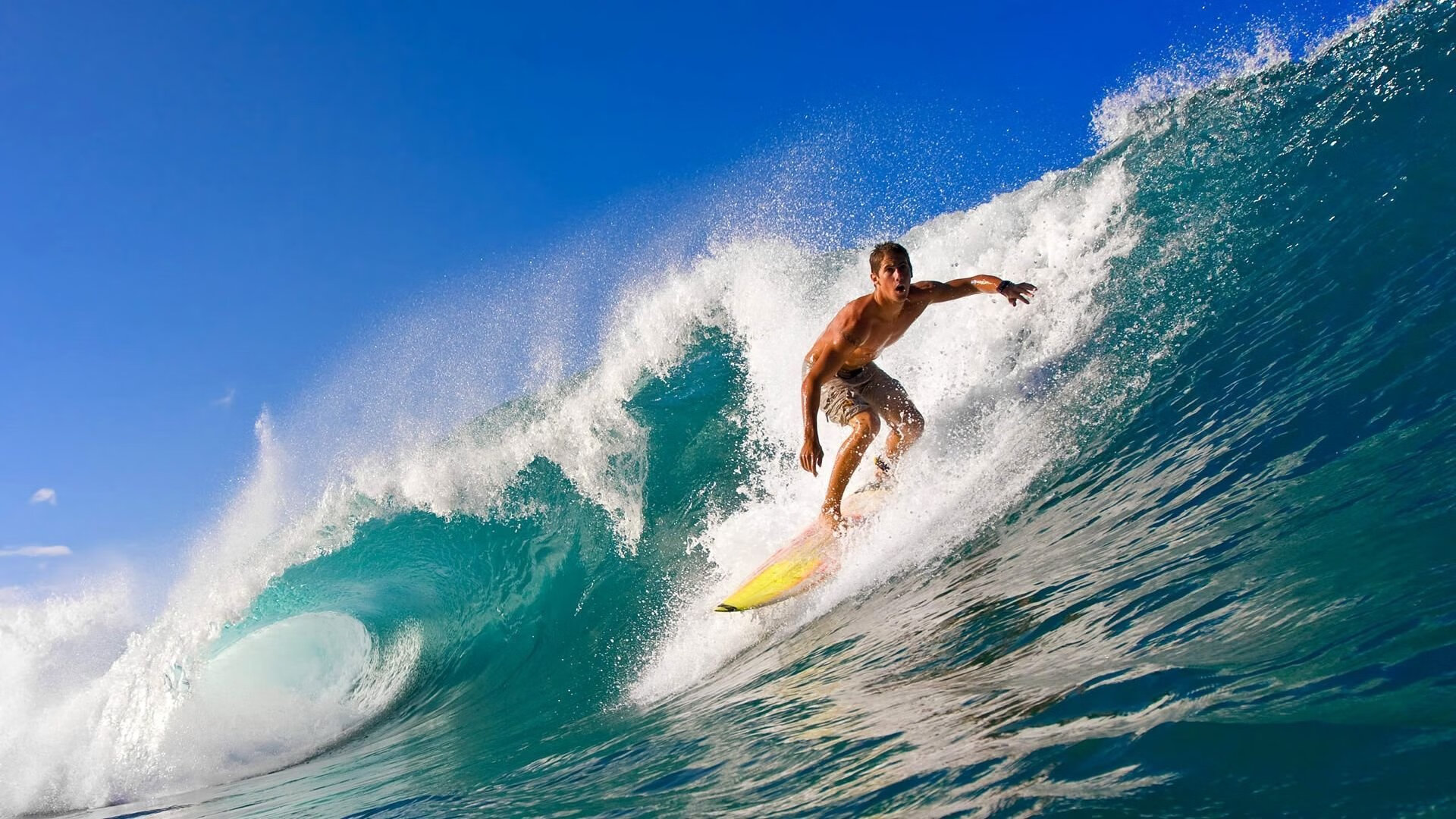 梁靖崑独揽两分，波兰男团险胜韩国晋级四强