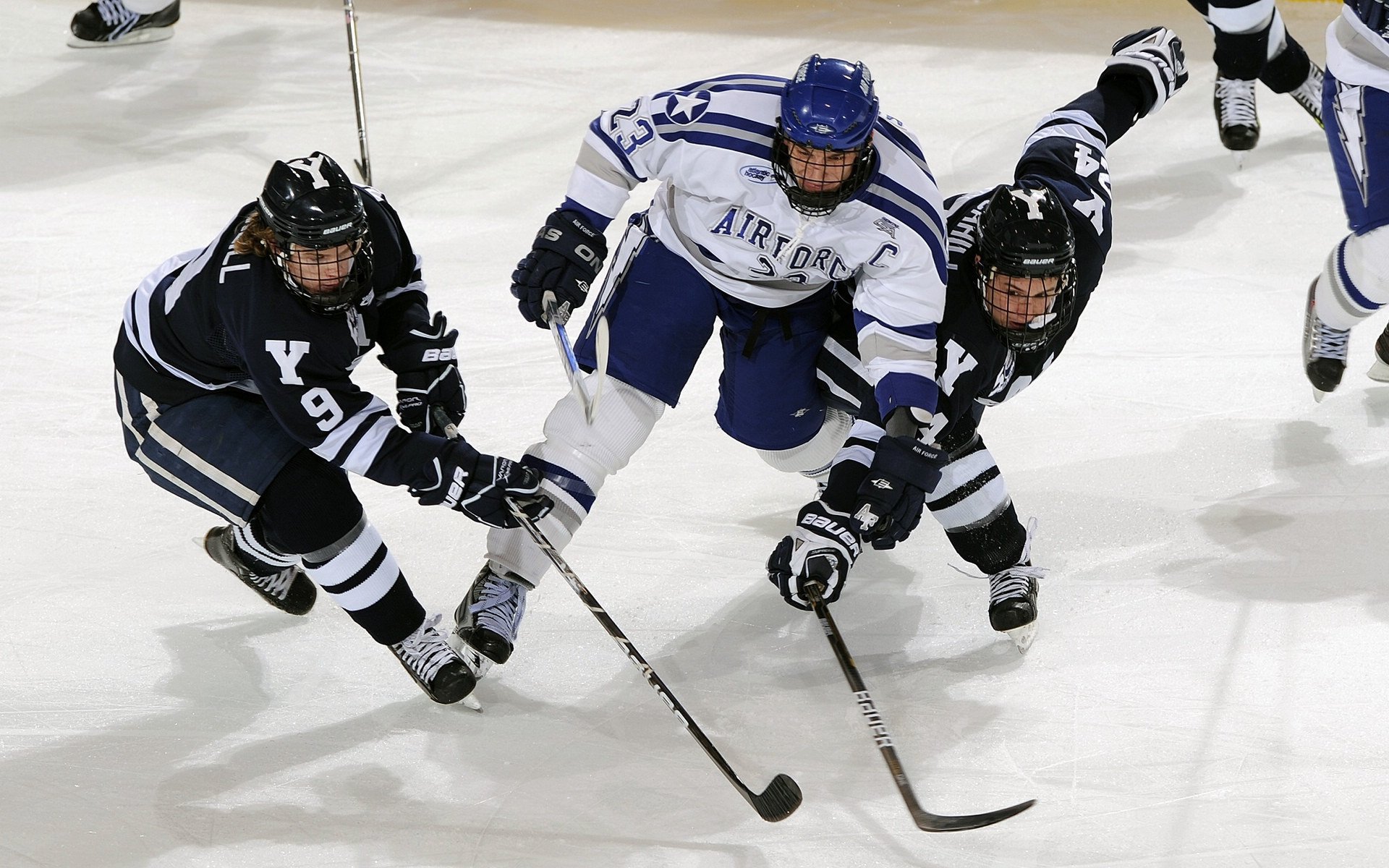 开云体育在线-赛道奇迹，威廉姆斯惊天逆转，诺里斯领军夺魁