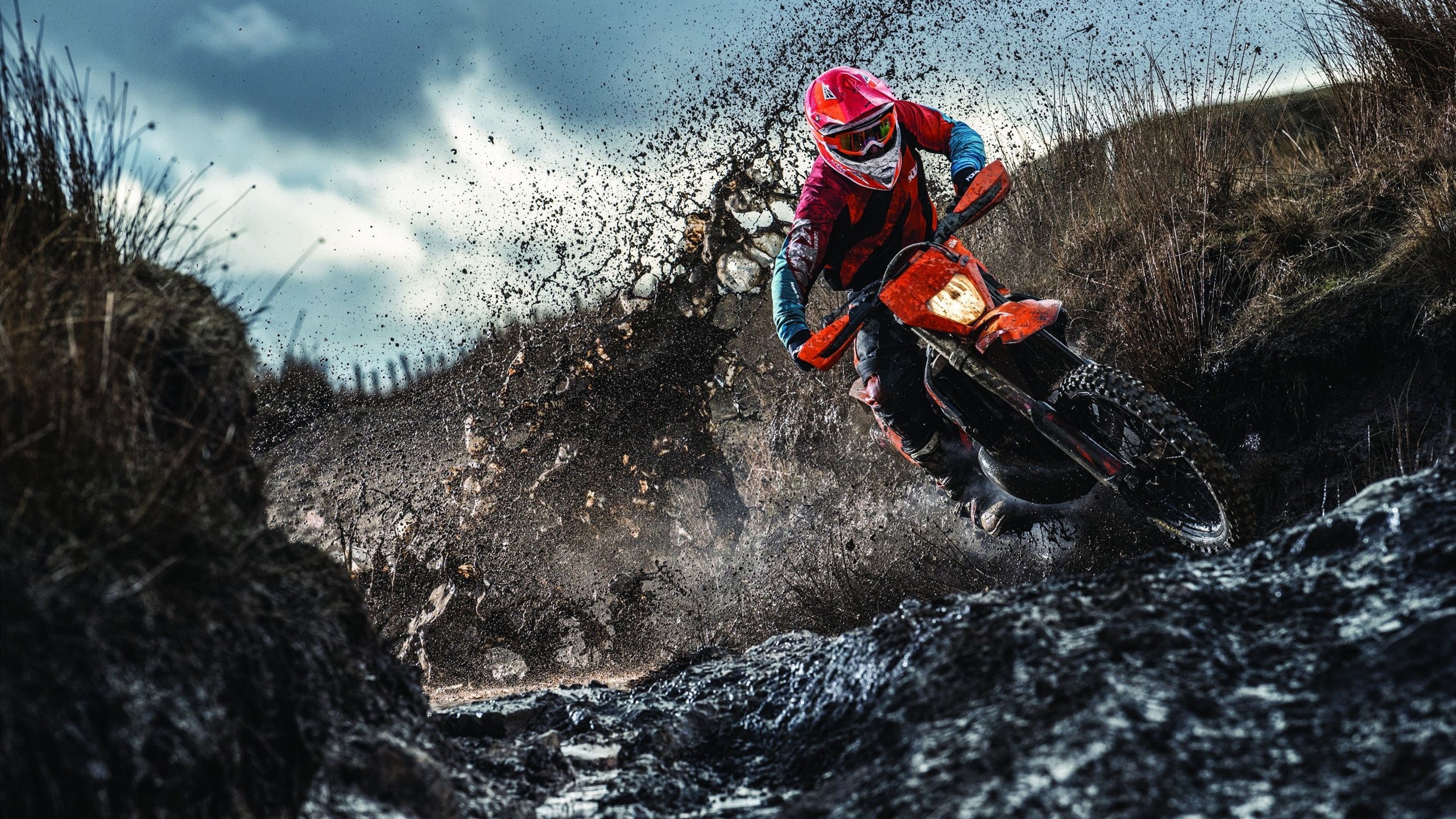 赛道上的逆袭，哈斯车队力克索伯，勒克莱尔统治全场的背后